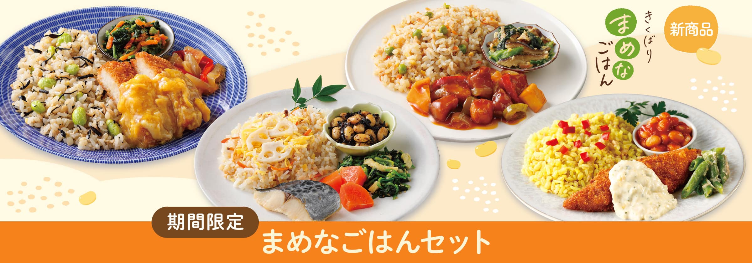 �܂߂Ȃ��͂�16�H�E8�H�Z�b�g�E2026�N4��