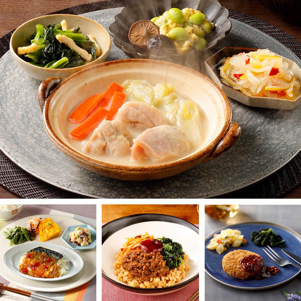 ポイント20倍 バラエティ10食セット(冷凍): キャンペーン品｜ヘルシー