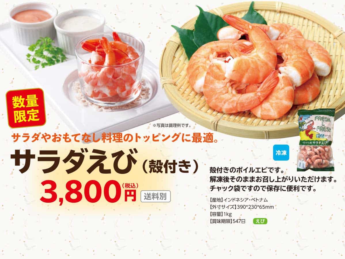 �T���_���� �k�t��(�Ⓚ�j�E2025�N11��